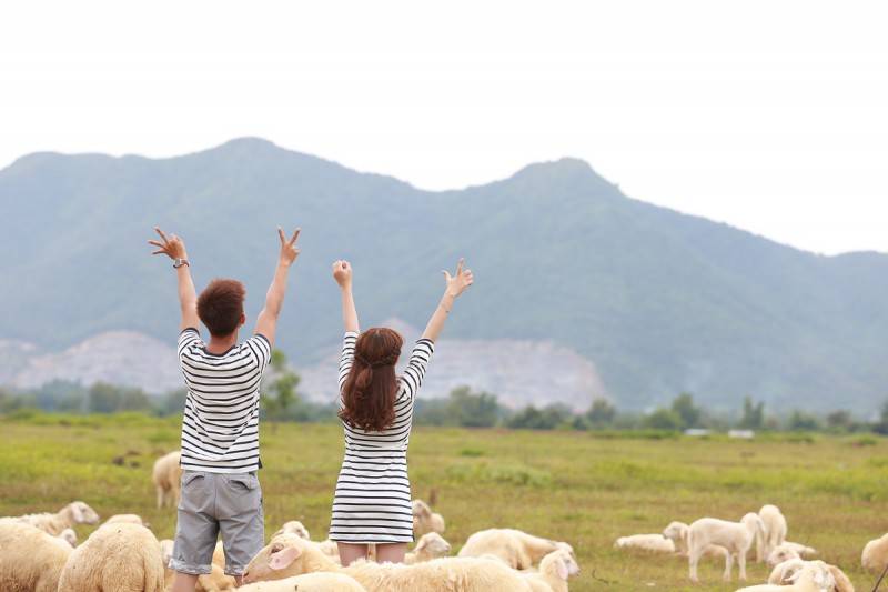 Đồng Cừu Suối Tiên Nha Trang - Thiên đường sống ảo dành cho giới trẻ