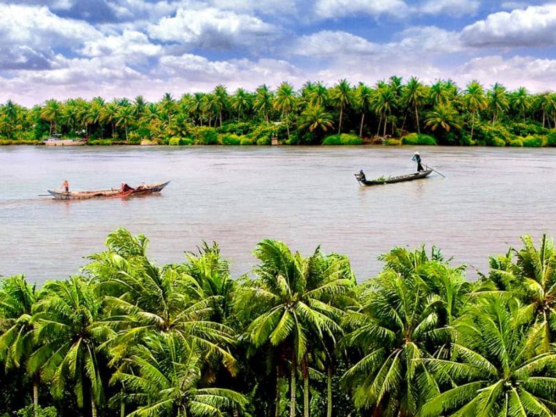 Dừa Bến Tre cùng sức hút đến từ sản vật thiên nhiên miền sông nước