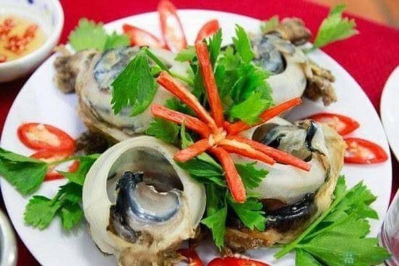 Dừng chân thưởng thức món ngon bổ dưỡng do mẹ biển cả ban tặng - Mắt cá ngừ đại dương Phú Yên