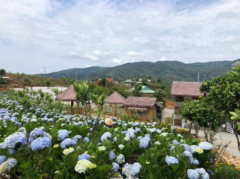Ê Ban Farm, khu du lịch sinh thái kết hợp Farmstay gần Măng Đen