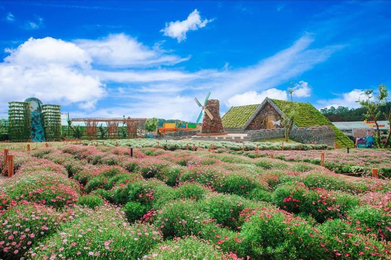Fresh Garden Dalat – Vườn hoa khổng lồ khoe sắc rực rỡ giữa lòng Đà Lạt