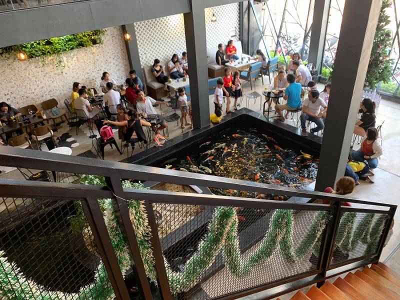 Ghé đến Min Bistro café ngắm hồ cá Koi tuyệt đẹp