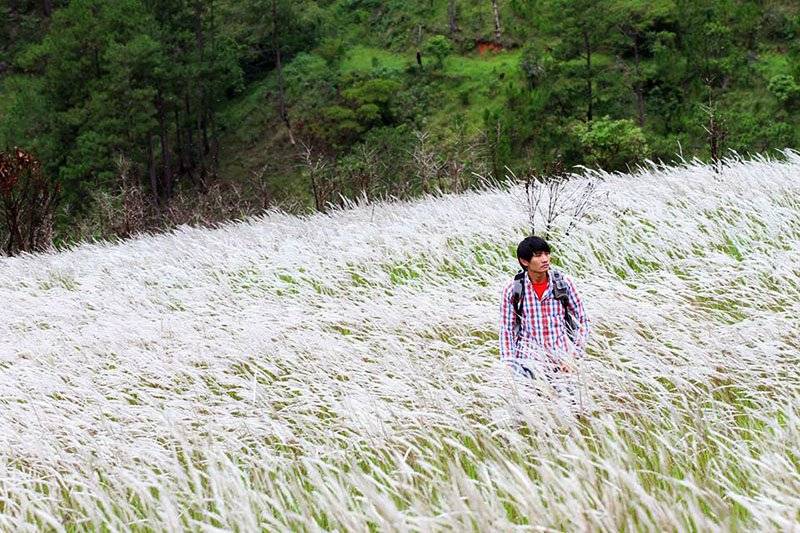 Giải đáp thắc mắc tháng Năm Đà Lạt có gì mà ai cũng muốn ghé chơi