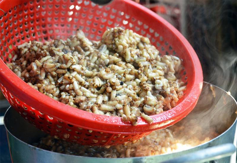 Gỏi nhộng ong rừng U Minh, đặc sản quý hiếm ở miệt rừng tràm