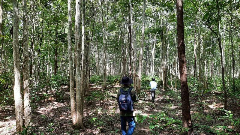 Hành trình trekking VQG Chư Mom Ray tìm về núi rừng đại ngàn
