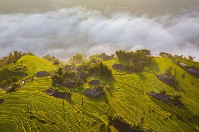 Hoàng Su Phì - Ngỡ ngàng vẻ đẹp ruộng bậc thang mùa lúa chín