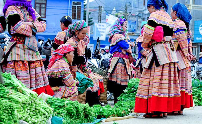 Hoàng Su Phì - Ngỡ ngàng vẻ đẹp ruộng bậc thang mùa lúa chín