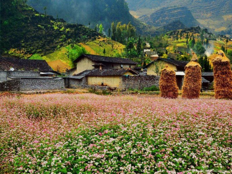 Hướng dẫn đường đi chinh phục Hà Giang từ A đến Z