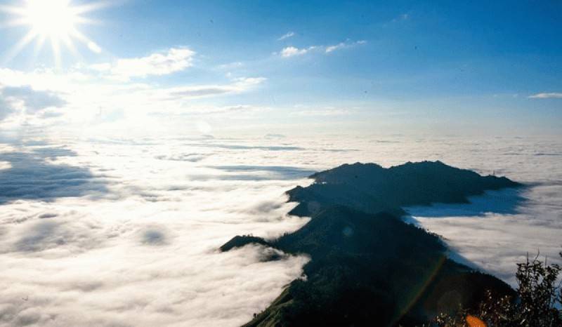 Hướng dẫn Kinh nghiệm săn mây trên đỉnh Pha Luông chi tiết nhất