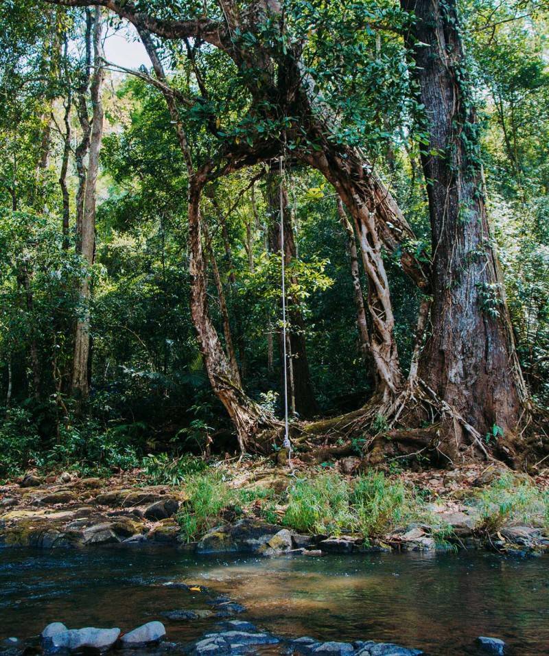 Hướng dẫn trekking Bù Gia Mập an toàn cho hội cuồng du lịch