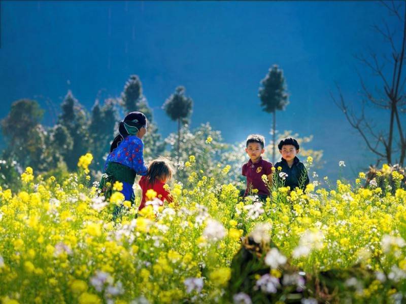 Khám phá 7 mùa hoa đẹp ở Mộc Châu khiến bao trái tim say đắm