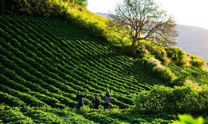 Khám phá Biển Hồ Chè giữa lòng cao nguyên rộng lớn