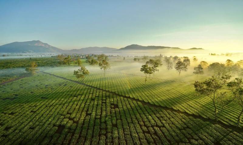 Khám phá Biển Hồ Chè giữa lòng cao nguyên rộng lớn