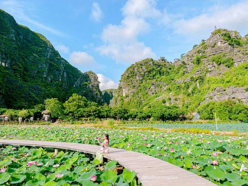 Khám phá Đầm sen Hang Múa Ninh Bình đẹp quên lối về cùng Hồ Thiên Nga