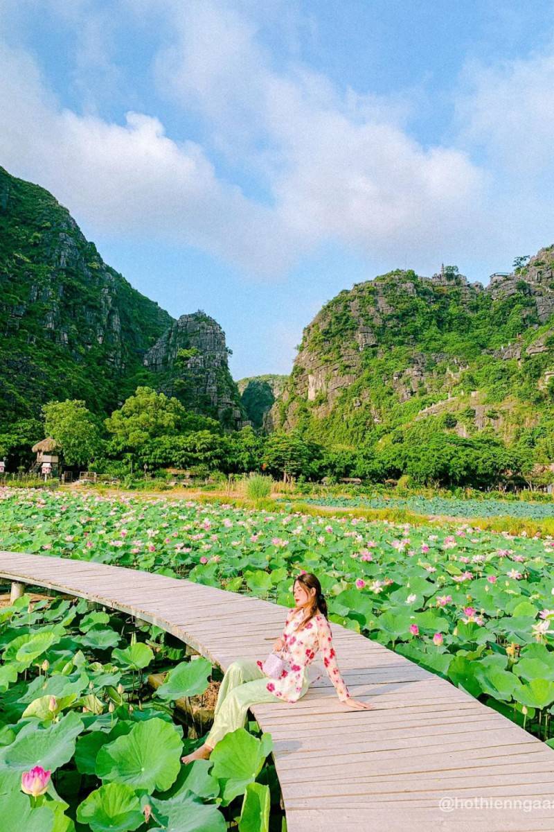 Khám phá Đầm sen Hang Múa Ninh Bình đẹp quên lối về cùng Hồ Thiên Nga