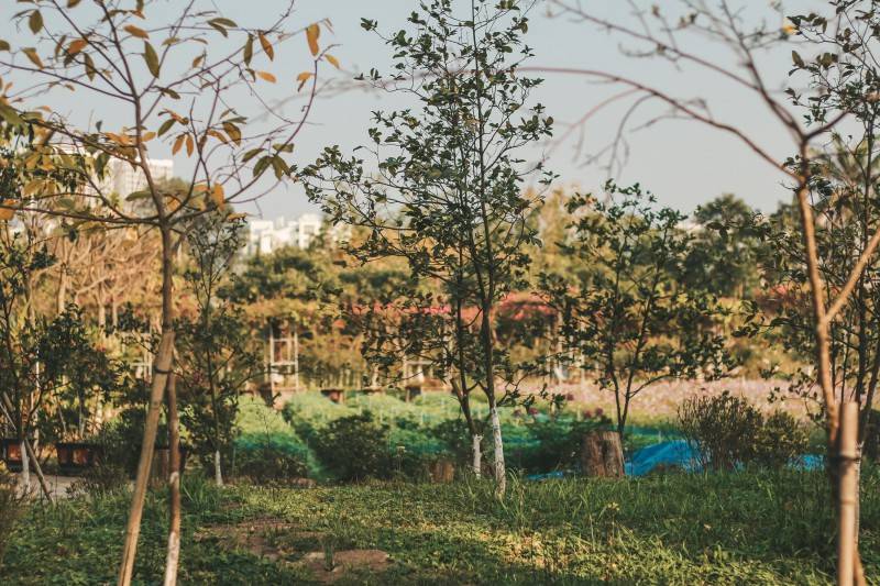 Khám phá Hà Nội quả vẻ đẹp đầy ấn tượng tại Học viện Nông nghiệp Việt Nam