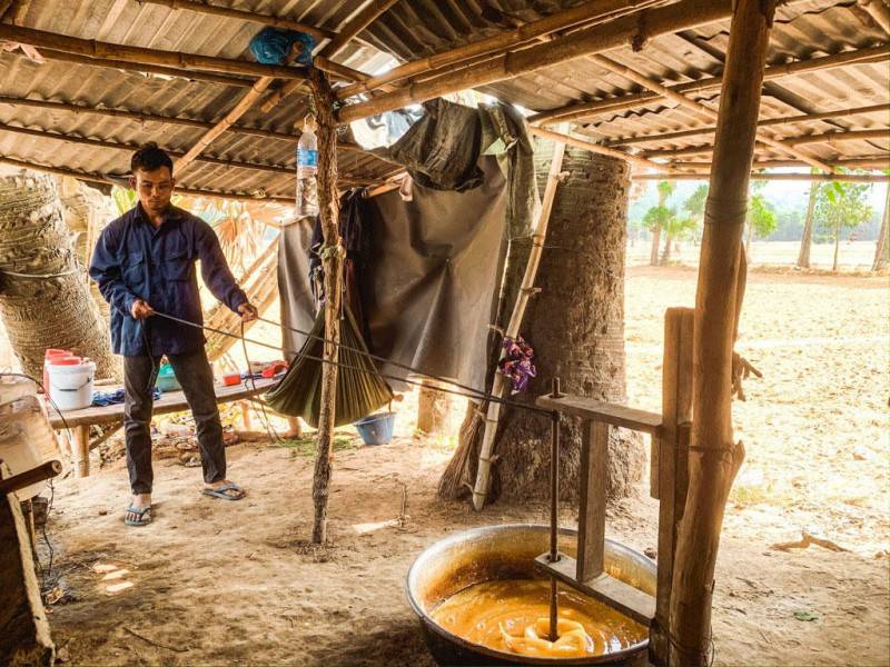 Khám phá làng nghề nấu đường thốt nốt ở An Giang vào mùa khô