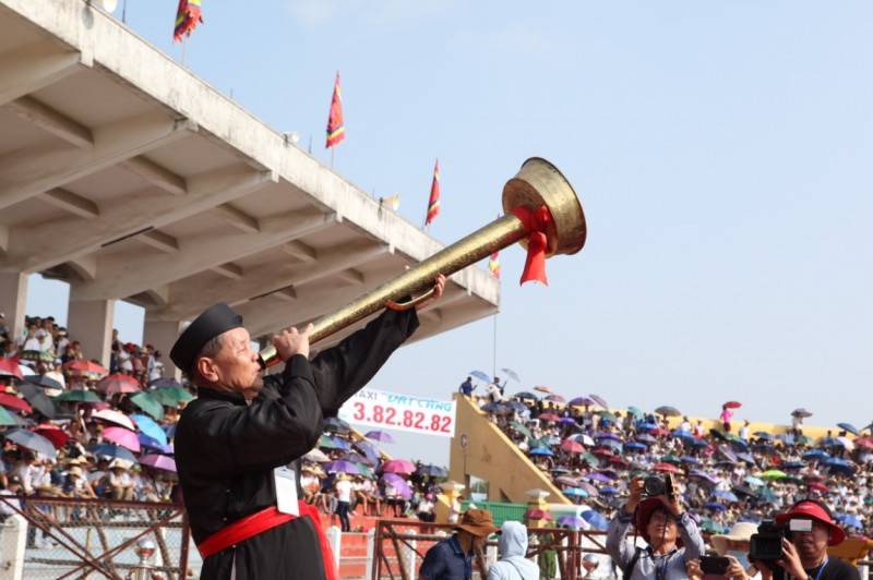 Khám phá Lễ hội chọi trâu Hải Phòng - Lễ hội truyền thống lâu đời