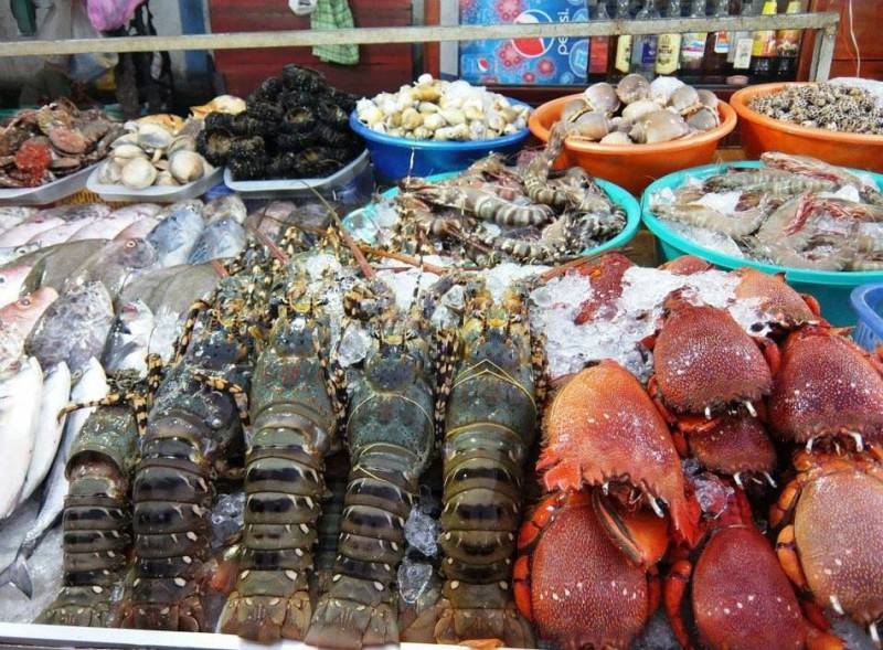 Khám phá thiên đường hải sản tại Nhà hàng Cây Me Nha Trang