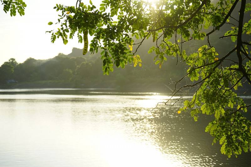 Khám phá vẻ đẹp Hồ Soài So thanh bình và tĩnh lặng
