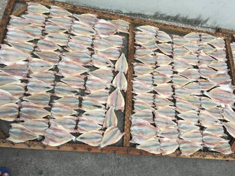 Khô cá đù Cà Mau, đặc sản thích hợp mua về làm quà