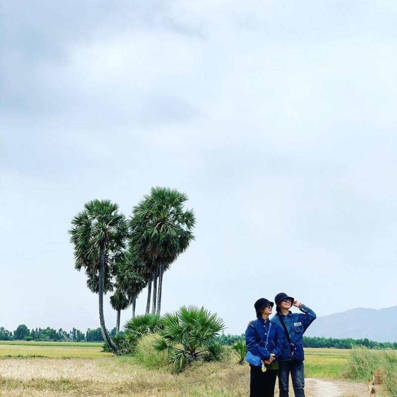 Kinh nghiệm check-in cây thốt nốt trái tim cực hot tại An Giang