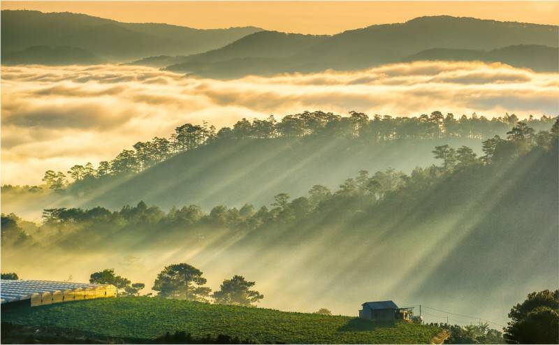 Kinh nghiệm đi Đà Lạt bằng máy bay từ A đến Z cho những ai yếu tim, sợ cung đường đèo