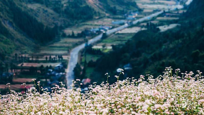 Kinh nghiệm đi du lịch Đồng Văn - Hà Giang tự túc an toàn, thú vị