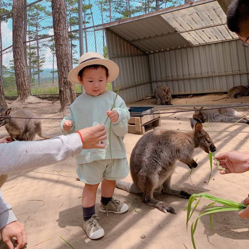 Kinh nghiệm đi Zoodoo – Nào mình cùng đi thăm thú