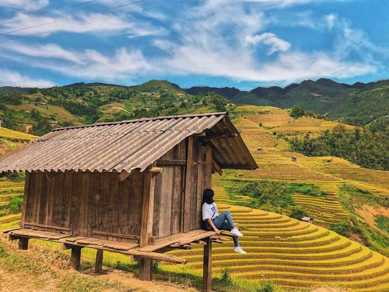 Kinh nghiệm du lịch Hà Giang tự túc vào tháng 9 - Mùa lúa chín trên rẻo cao