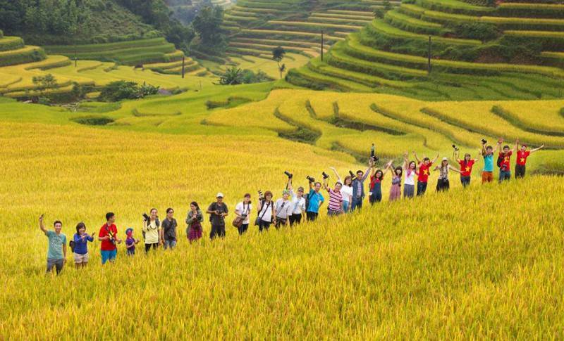 Kinh nghiệm du lịch Hà Giang tự túc vào tháng 9 - Mùa lúa chín trên rẻo cao