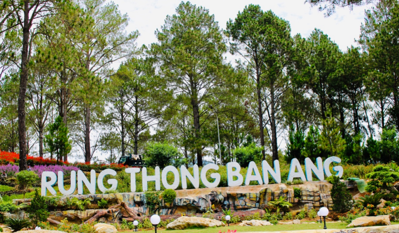 kinh nghiem kham pha rung thong ban ang tu tuc 1 16454202021