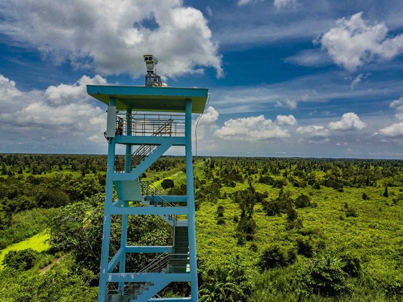Kinh nghiệm phượt đài quan sát rừng U Minh Hạ không nên bỏ qua