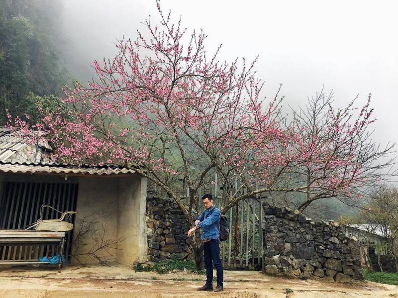 Kinh nghiệm săn hoa đào Hà Giang tháng 3 cho người mới chi tiết nhất