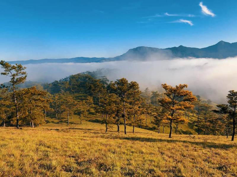 Kinh nghiệm săn mây trên đồi Đa Phú chi tiết và đầy đủ nhất