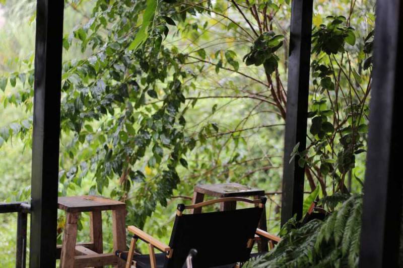 La Petite Cafe Măng Đen, điểm ngắm rừng thông cực chill tại Kon Tum