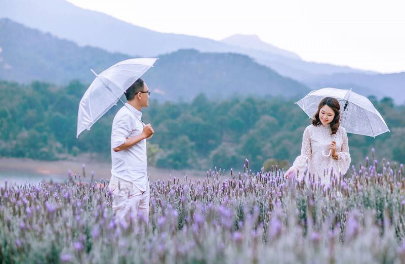 Lạc vào tiên cảnh với khu du lịch Lavender Đà Lạt