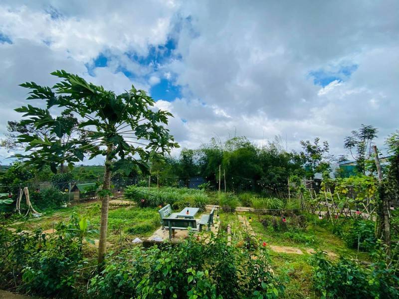 Lạc vào Vintage Garden's Farmstay cực đẹp tại Bảo Lộc