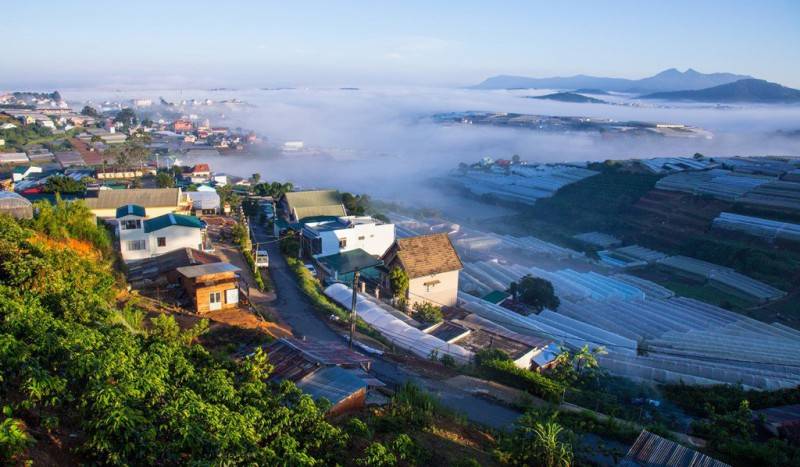 Làng hoa Thái Phiên - Thiên đường quy tụ các loài hoa Đà Lạt