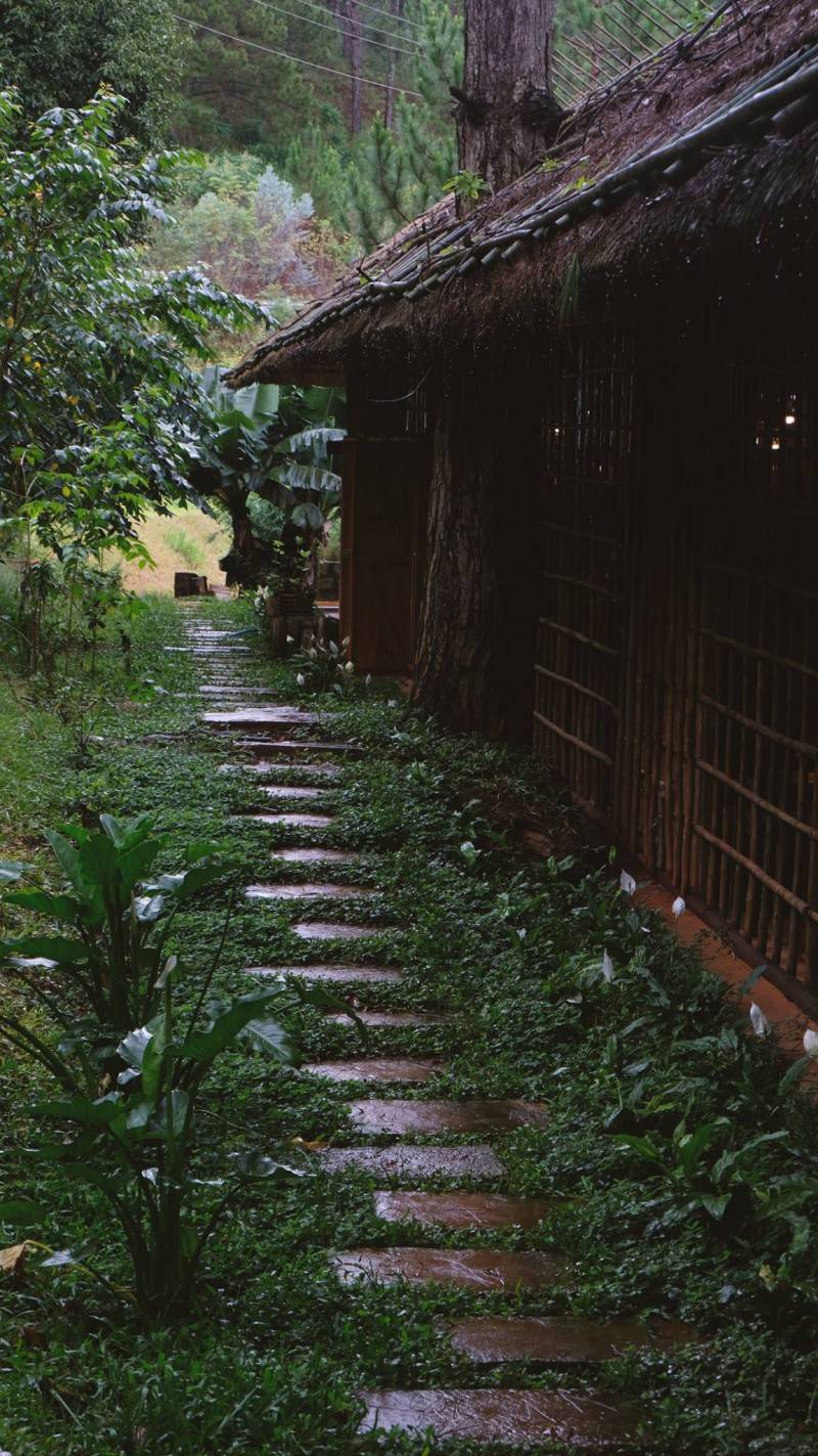 Lavenderdalat Coffee House - Quán cà phê có view Hồ Tuyền Lâm quyến rũ khiến ai cũng say lòng tại Đà Lạt