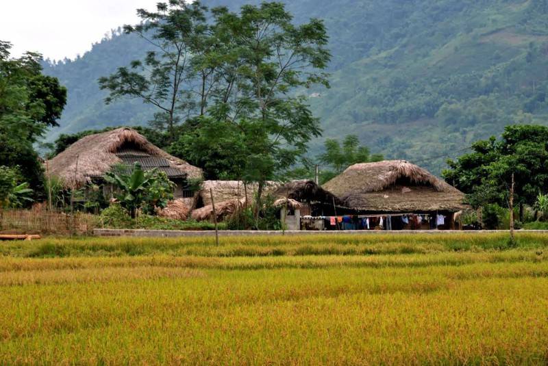 Lịch trình Hà Giang tự túc 2N2Đ - Trekking khám phá những nếp nhà bản làng trong sương khói