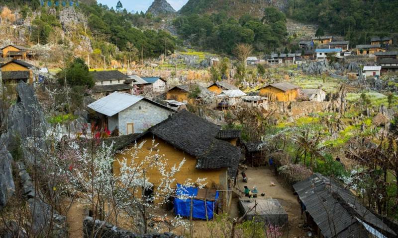 Lịch trình khám phá Hoàng Su Phì tự túc 8N7Đ