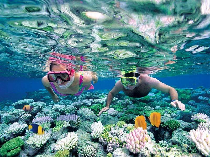 Lưu ngay Lịch trình ngắm san hô xem Vích ở Côn Đảo siêu thú vị