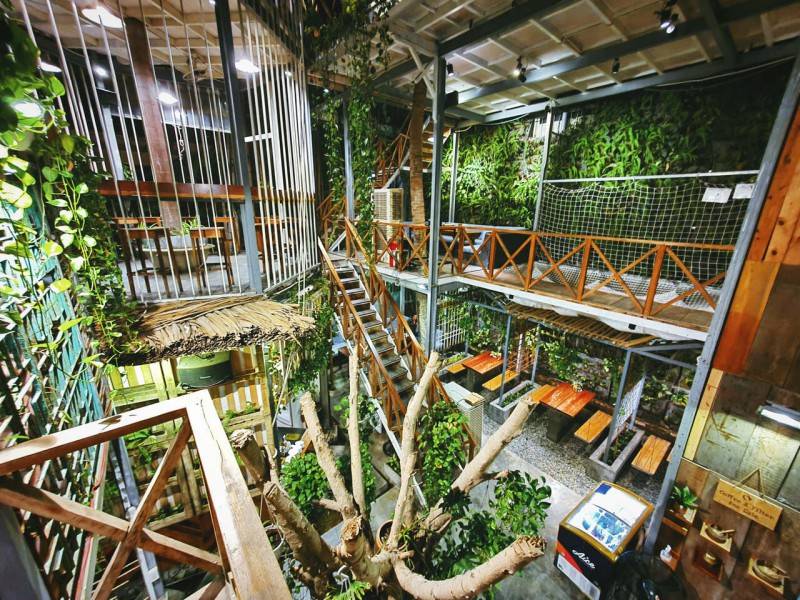Lưu ngay top quán cafe xanh ở Nha Trang vô cùng độc đáo