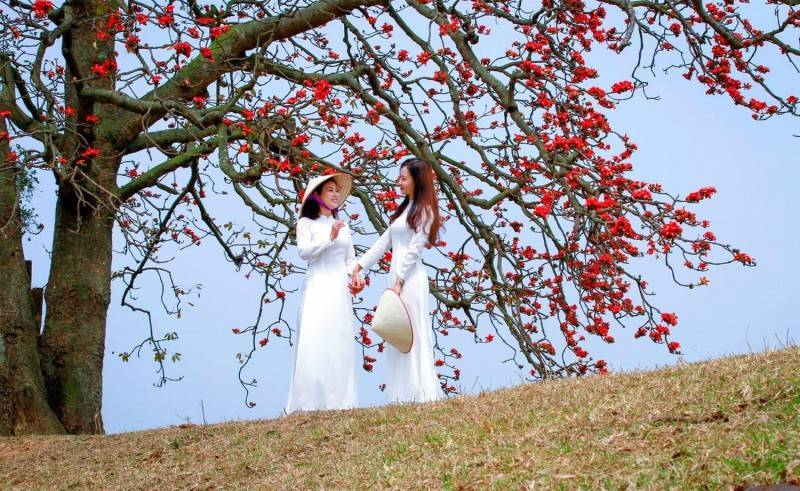 Mách bạn kinh nghiệm du lịch Hà Nội mùa hoa gạo đẹp mê mẩn
