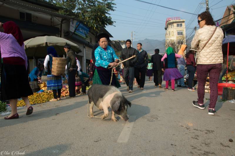 Mộc mạc Chợ phiên Mèo Vạc nơi cao nguyên đá Đồng Văn