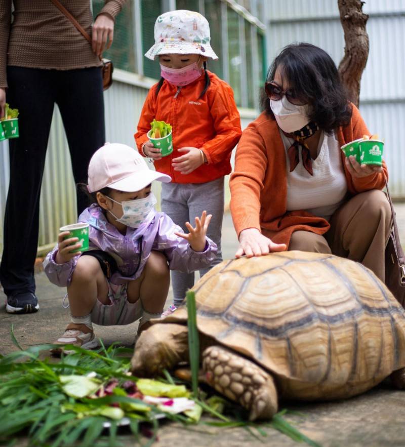 Một ngày khám phá Zoodoo Phan Rang, vườn thú siêu thú vị tại Ninh Thuận