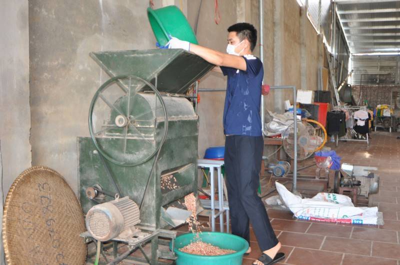 Mua Dầu lạc Phong Nha về làm quà, đảm bảo an toàn cho sức khỏe