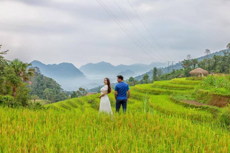 Mùa vàng Khuổi My tựa như tranh vẽ trên cao nguyên đá Hà Giang