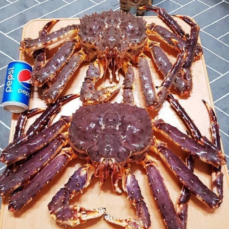 Muốn ăn cua hoàng đế ngon, đến ngay Nhà hàng Queen's Crab Huế!